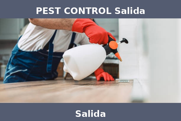 PEST CONTROL Salida